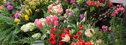 Men’s Garden Club of Los Angeles